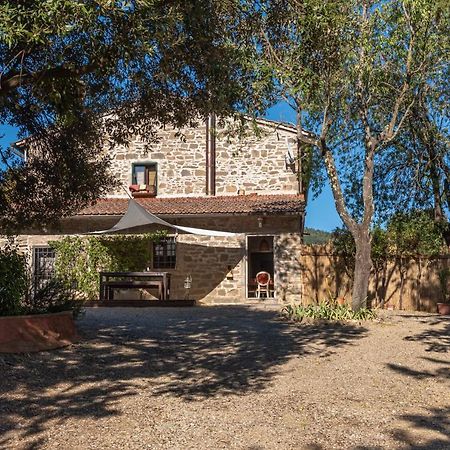 Villa Poggio Al Mandorlo à Greve in Chianti Extérieur photo