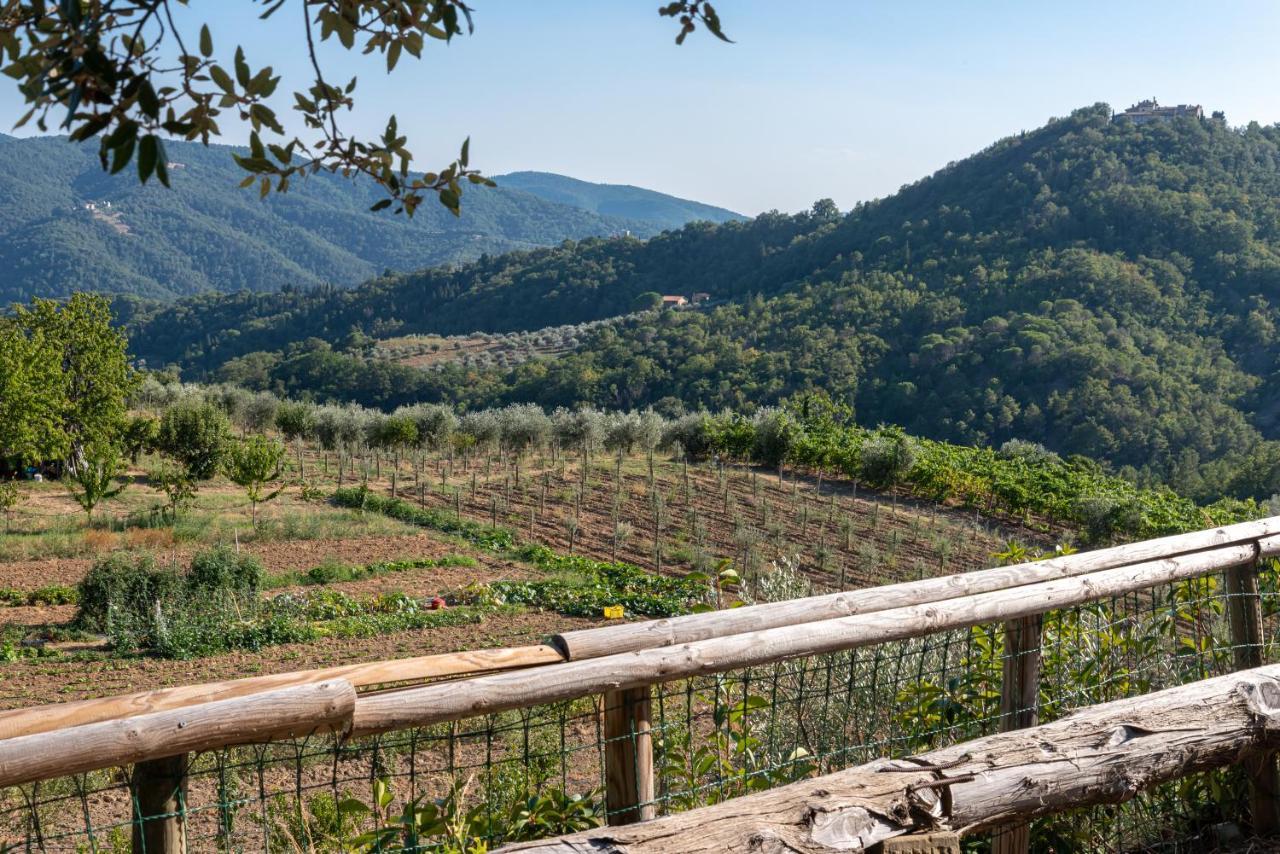 Villa Poggio Al Mandorlo à Greve in Chianti Extérieur photo